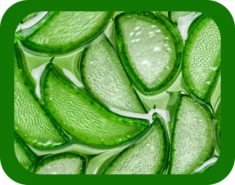 Aloevera